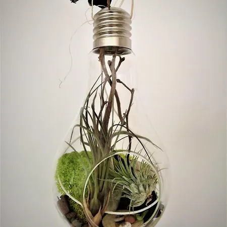 Διαμέρισμα Light Globe Βουκουρέστι