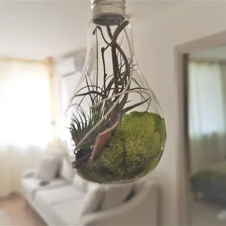 Light Globe Διαμέρισμα *