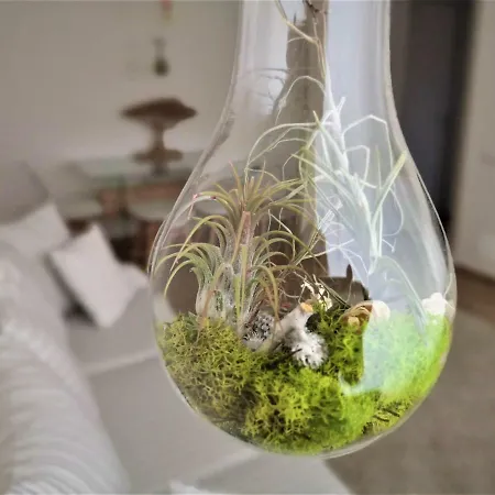 Light Globe