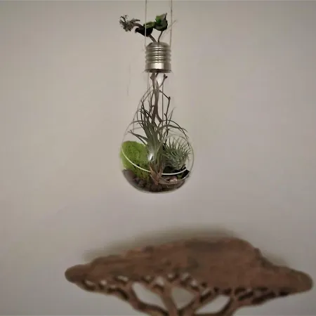 Apartment Light Globe