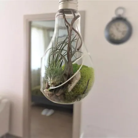 Light Globe *